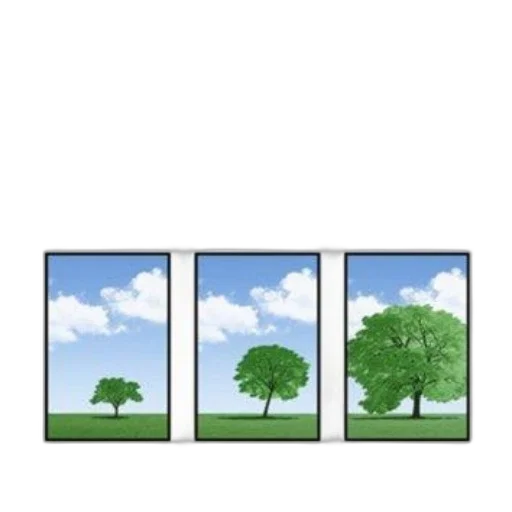 tree, building, umbrella, crown transparent PNG cut-out