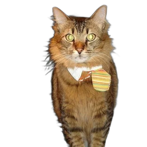 staff, animal, jewelry, photorealistic transparent PNG cut-out