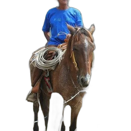 staff, animal, hat, mask transparent PNG cut-out