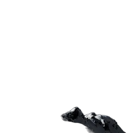 animal, creature, dragon, shoes transparent PNG cut-out