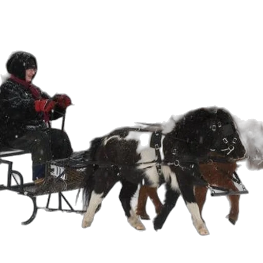 concept art, photorealistic, snow, person transparent PNG cut-out