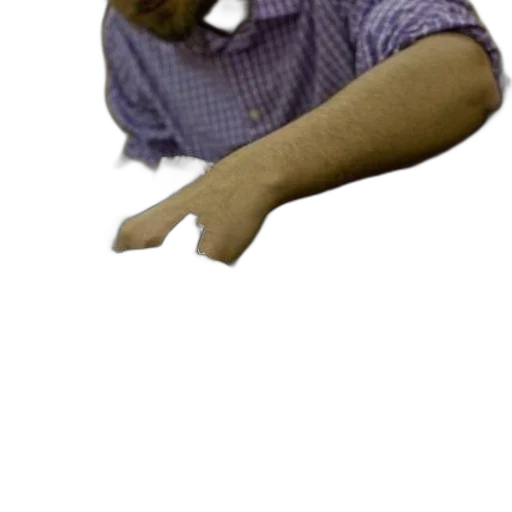 staff, animal, creature, mask transparent PNG cut-out