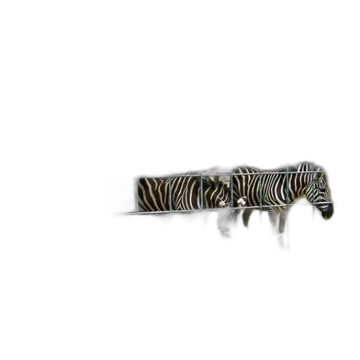 animal, jewelry, creature, furniture transparent PNG cut-out