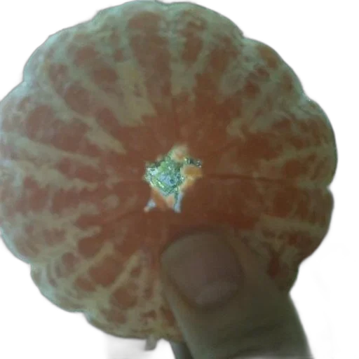 crown, flower, jewelry, food transparent PNG cut-out