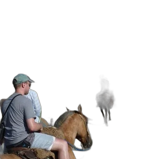 animal, creature, hat, staff transparent PNG cut-out