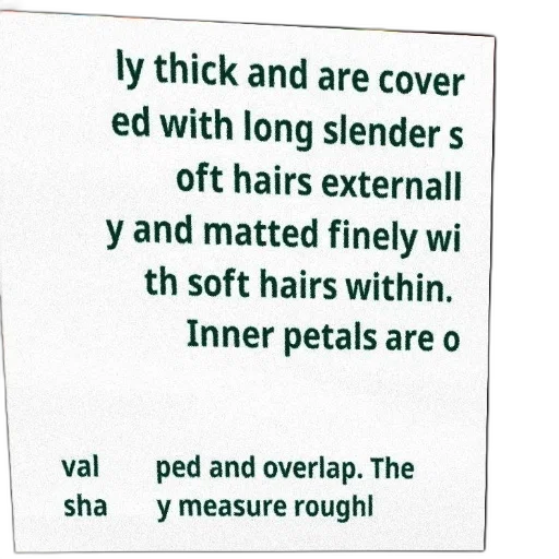 hair, jewelry, text-based, description transparent PNG cut-out