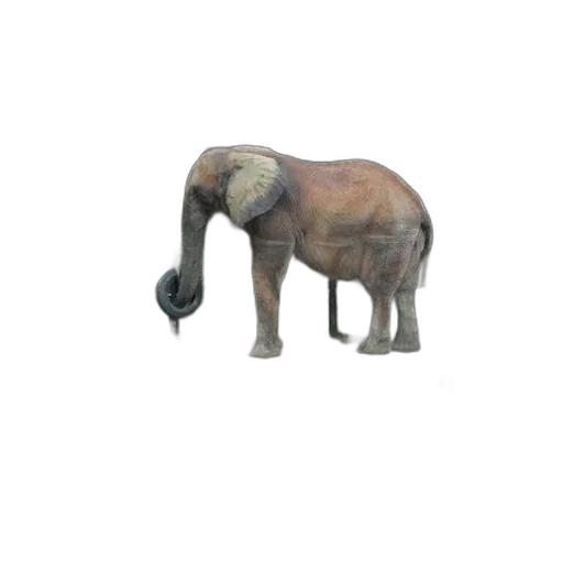 animal, creature, staff, hat transparent PNG cut-out