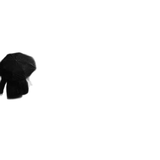 hat, hair, jacket, umbrella transparent PNG cut-out