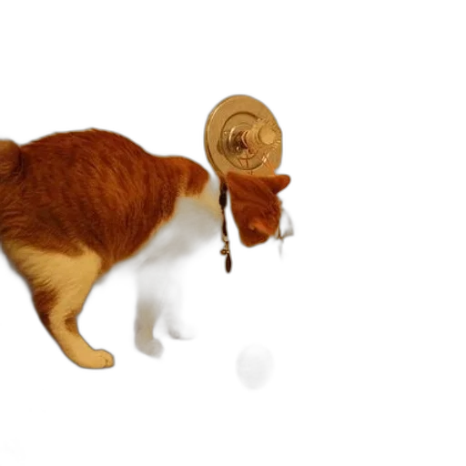 hat, animal, staff, food transparent PNG cut-out