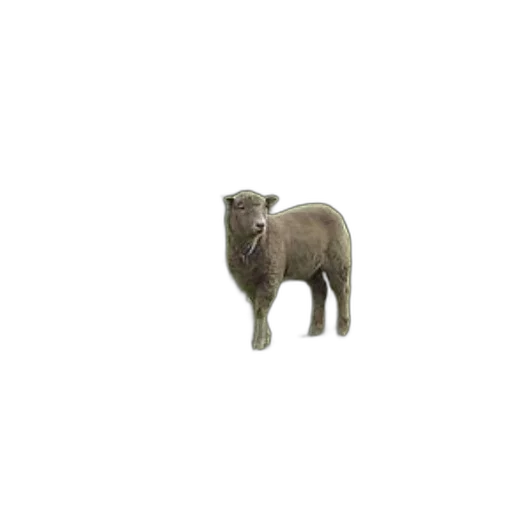 animal, creature, weapon, robot transparent PNG cut-out
