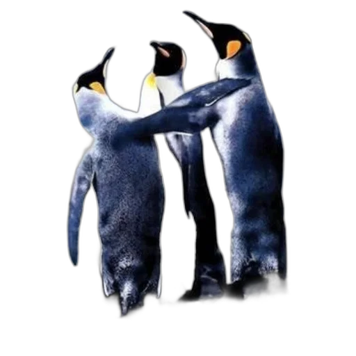 animal, concept art, watercolor, poster transparent PNG cut-out