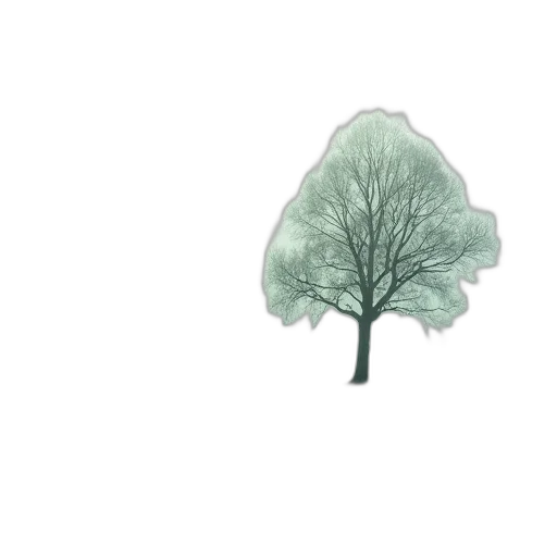 tree, crown, umbrella, hat transparent PNG cut-out