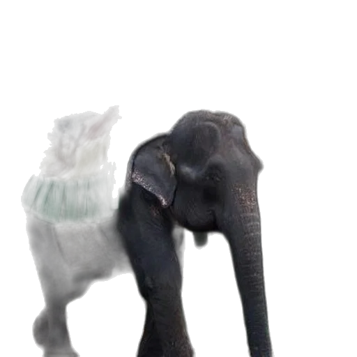 animal, creature, staff, mask transparent PNG cut-out