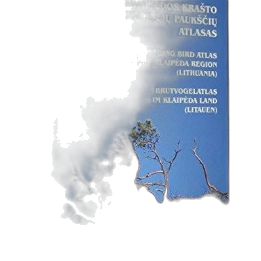 blue, breeding, bird, atlas transparent PNG cut-out