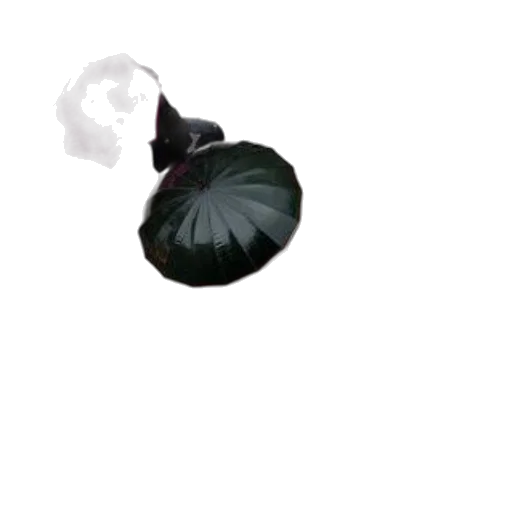 umbrella, hat, flower, crown transparent PNG cut-out