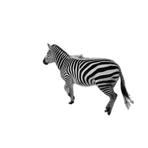 animal, creature, jewelry, robot transparent PNG cut-out