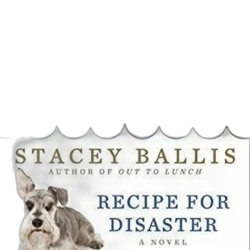 cover, recipe, disaster, stacey transparent PNG cut-out