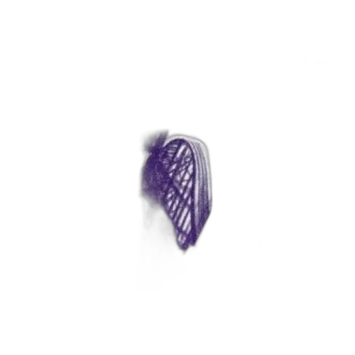 jewelry, crown, hat, flower transparent PNG cut-out