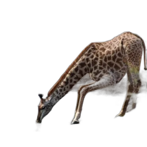 animal, creature, staff, dragon transparent PNG cut-out