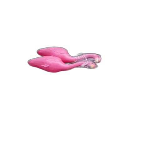 shoes, hat, mask, animal transparent PNG cut-out