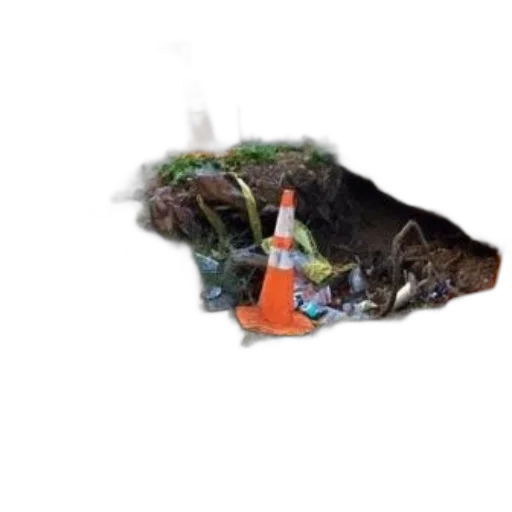hat, staff, animal, hair transparent PNG cut-out