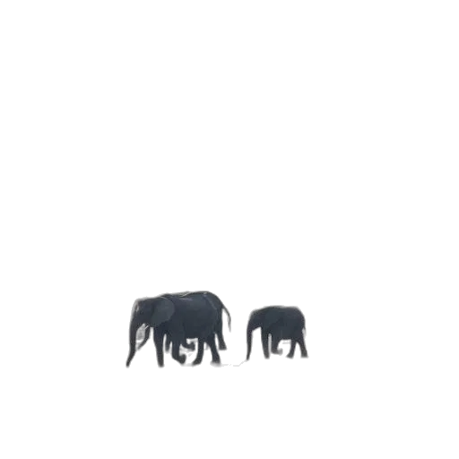 animal, furniture, creature, umbrella transparent PNG cut-out