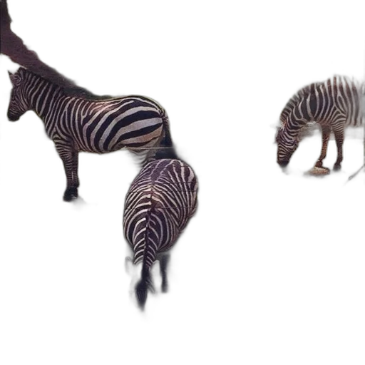 animal, creature, furniture, jewelry transparent PNG cut-out