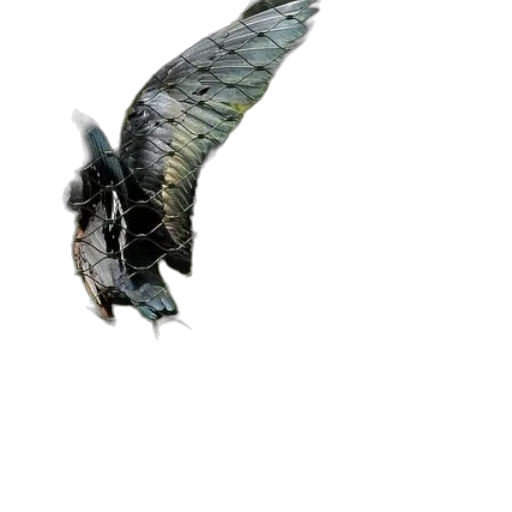 dragon, animal, creature, weapon transparent PNG cut-out