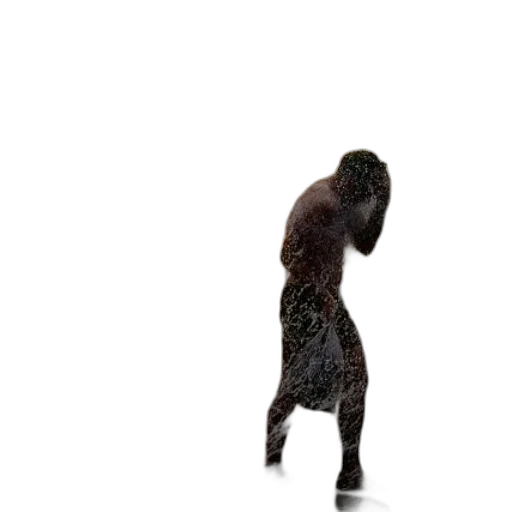 animal, creature, dress, hair transparent PNG cut-out