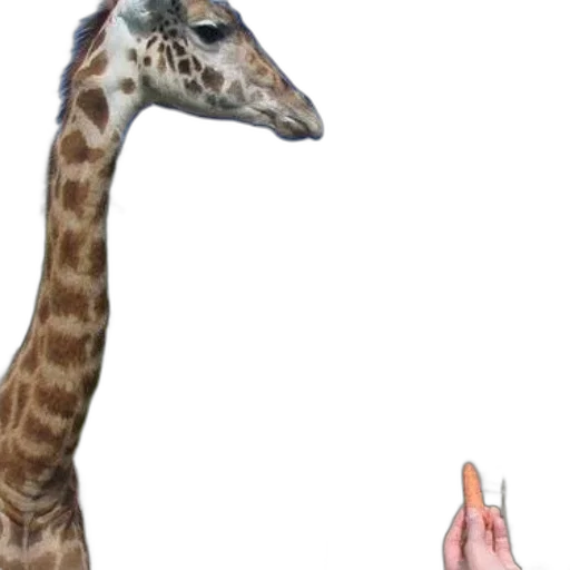animal, creature, staff, weapon transparent PNG cut-out