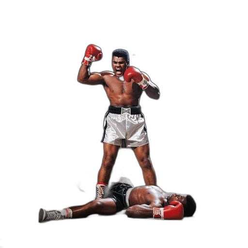 concept art, photorealistic, pixel art, boxer transparent PNG cut-out