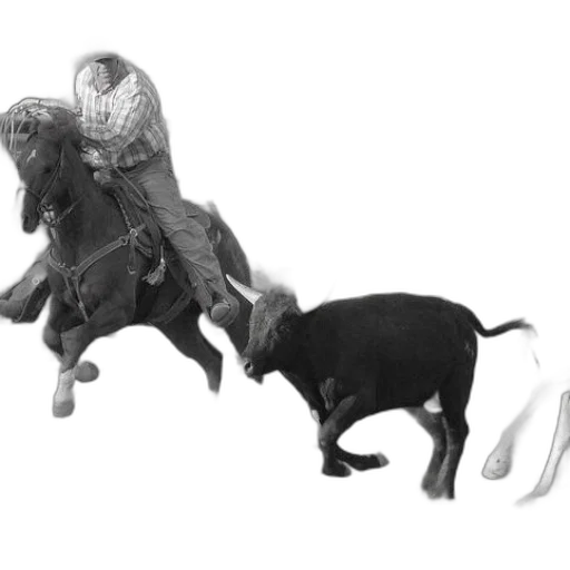 animal, creature, dragon, concept art transparent PNG cut-out
