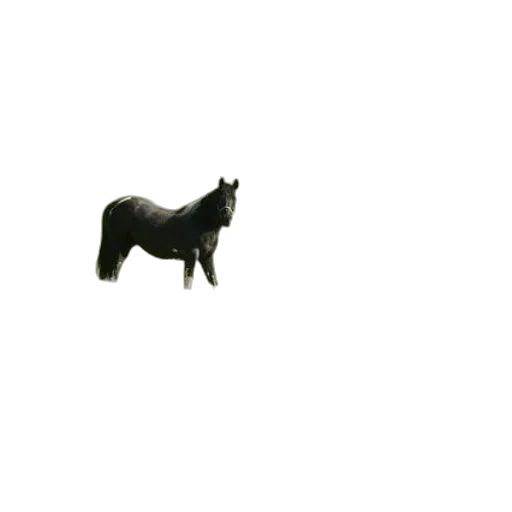 animal, creature, staff, dragon transparent PNG cut-out