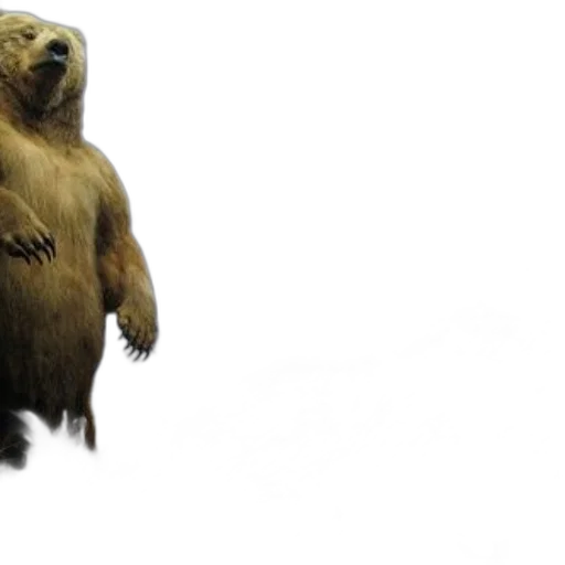 animal, creature, concept art, photorealistic transparent PNG cut-out