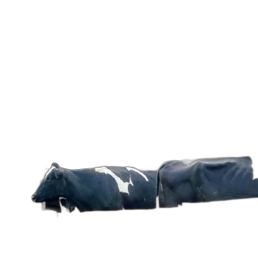 umbrella, jacket, furniture, staff transparent PNG cut-out