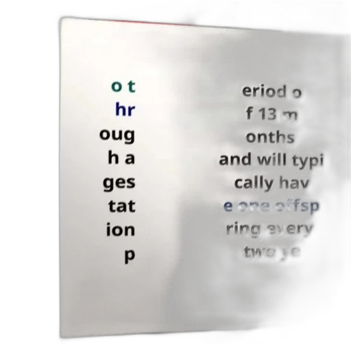 jewelry, robot, fog, outer space transparent PNG cut-out