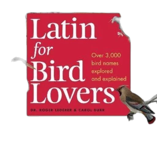 book, cover, title, latin transparent PNG cut-out