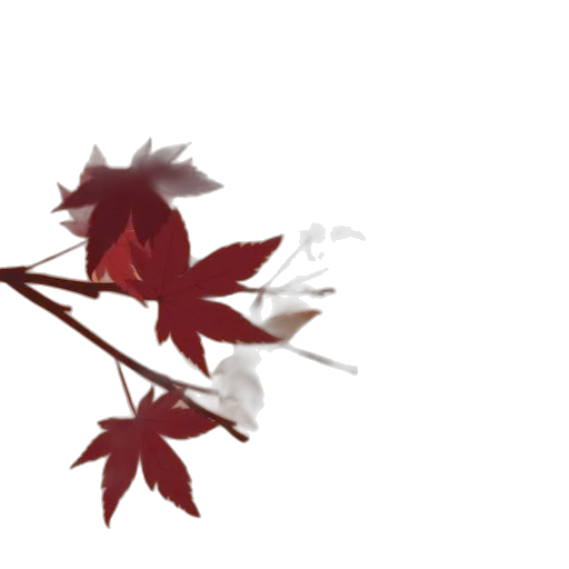 flower, crown, weapon, umbrella transparent PNG cut-out