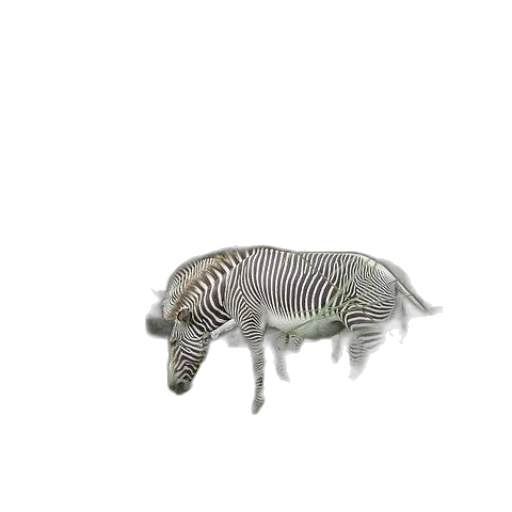 animal, creature, hair, robot transparent PNG cut-out