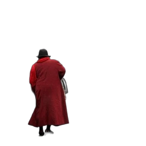 hat, jacket, staff, dress transparent PNG cut-out
