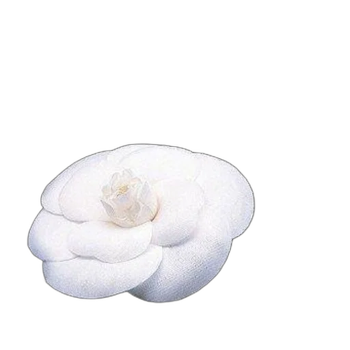 flower, hat, crown, hair transparent PNG cut-out