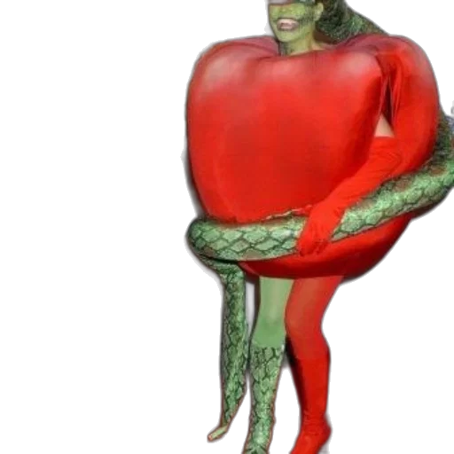 food, creature, animal, mask transparent PNG cut-out