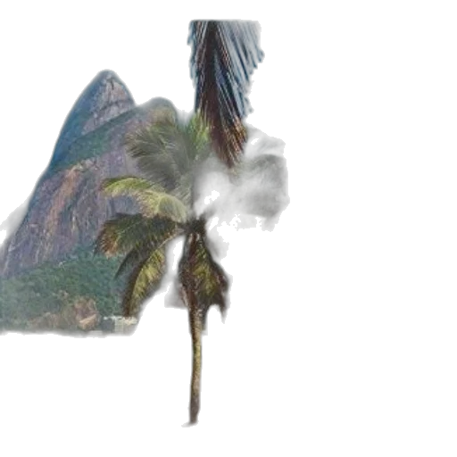 dragon, hair, tree, umbrella transparent PNG cut-out