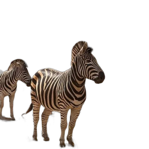 animal, creature, furniture, jewelry transparent PNG cut-out