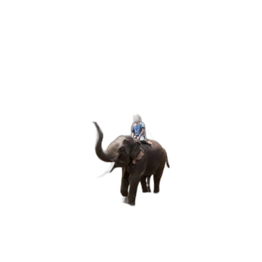 animal, creature, robot, staff transparent PNG cut-out