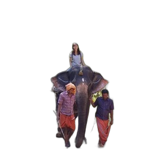 jacket, umbrella, creature, staff transparent PNG cut-out