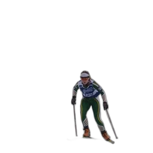 animal, staff, robot, weapon transparent PNG cut-out