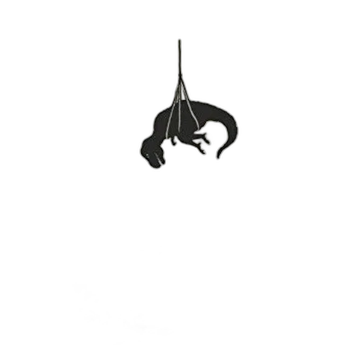 staff, dragon, animal, jewelry transparent PNG cut-out
