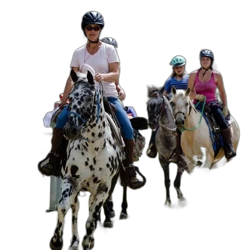 photorealistic, concept art, group, people transparent PNG cut-out