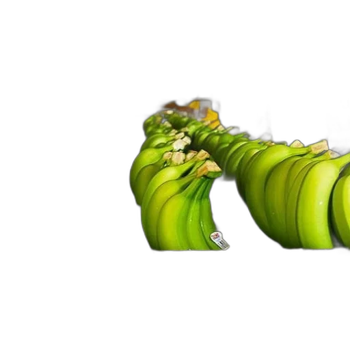 animal, food, dragon, weapon transparent PNG cut-out